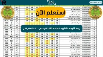 رابط نتيجة الثانوية العامة 2025 الرسمي.. استعلم الآن